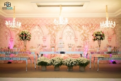 Fotógrafo de Casamento