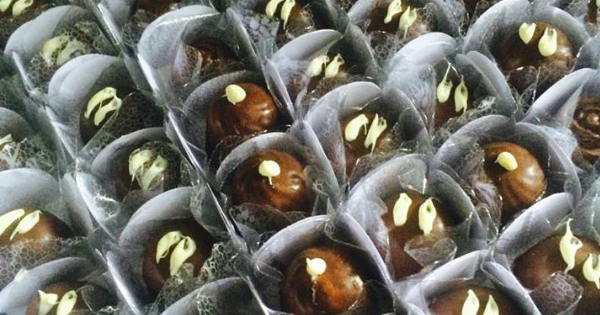 Bombons Trufados