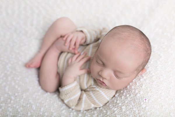 Book Newborn
