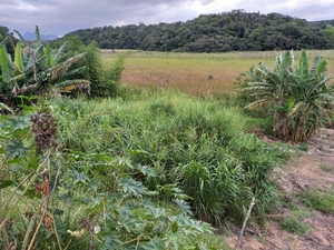 Terreno serra dourada 1